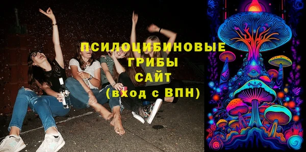 прущие крисы Няндома