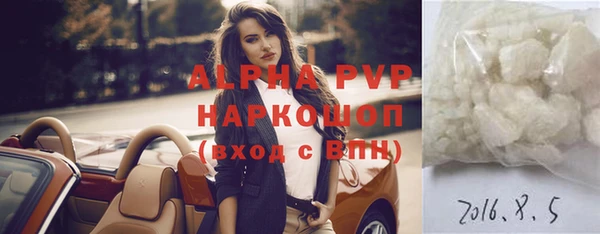 крисы Осинники