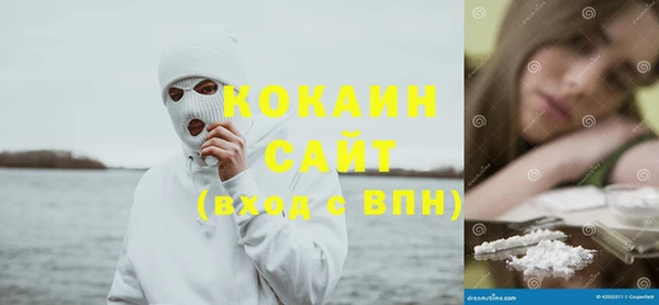 крисы Осинники