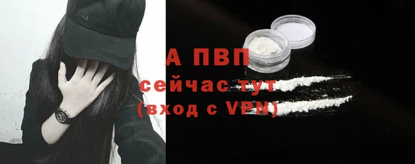 крисы Осинники