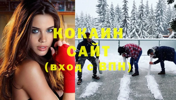 крисы Осинники